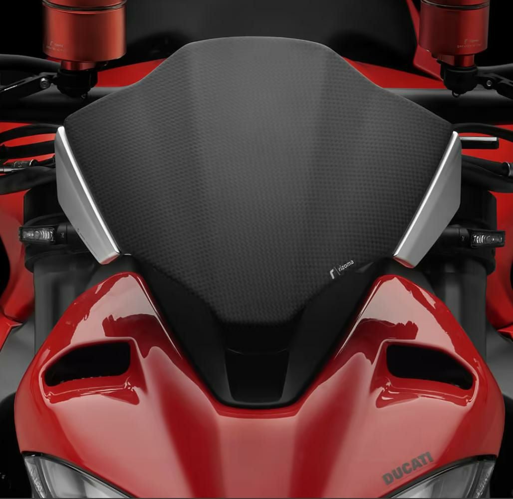 Ducati ストリートファイターV2/S (2025-) ラジエーターガード Evotech