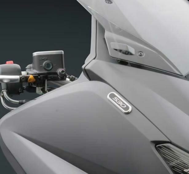 T-MAX 530/560 ミラーホールキャップ プレート リゾマ RIZOMA_1