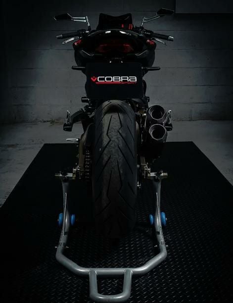 Ducati モンスター821 2014-17 スリップオンマフラー カーボン 