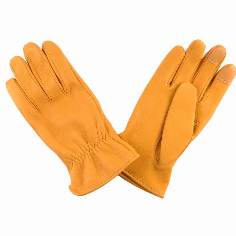 GMG ディアスキングローブ レギュラー ゴールド_1