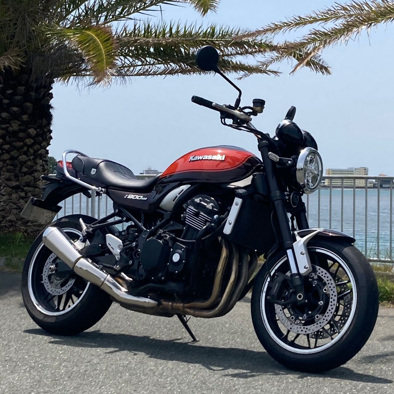 Z900RS/CAFE 18-25 Gシリーズ ゲル入りローシート Z2パターン (艶消し