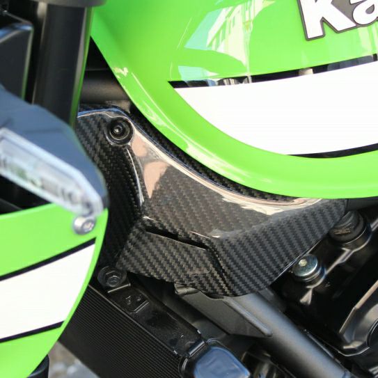 Z900RS フロントフレームカバー 左右セット ドライカーボン SPEEDRA