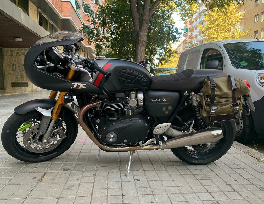 トライアンフ 水冷 スラクストン サドルバッグステー 左右 サテン