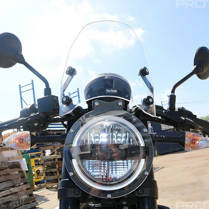 スヴァルトピレン/ヴィットピレン 401 スクリーン T-Rex Racing_1