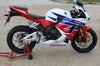 CBR600RR ノーカット フレームスライダー T-REX レーシング_4