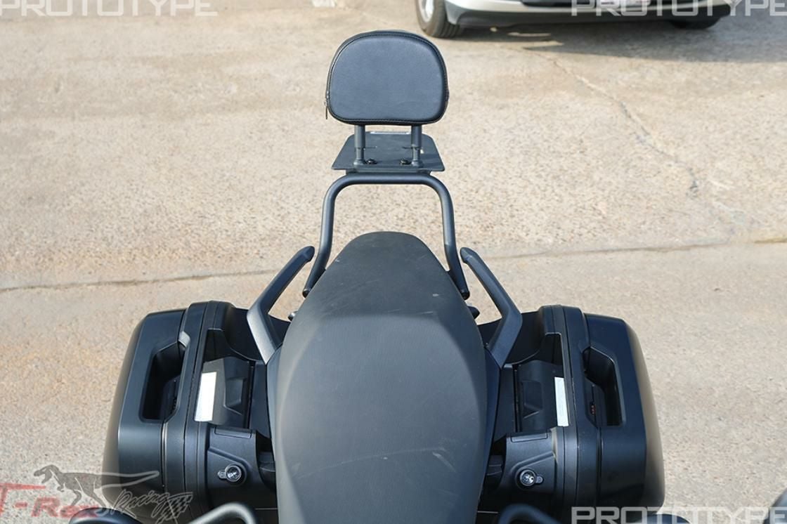 タイガースポーツ800/660 22～ パッセンジャーバックレストグラブバー
