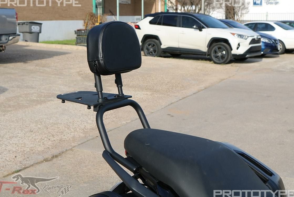 タイガースポーツ800/660 22～ パッセンジャーバックレストグラブバー