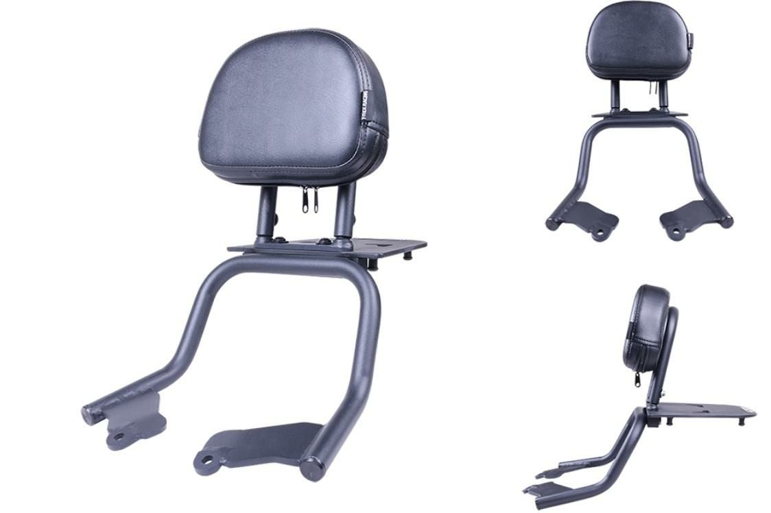 タイガースポーツ800/660 22～ パッセンジャーバックレストグラブバー