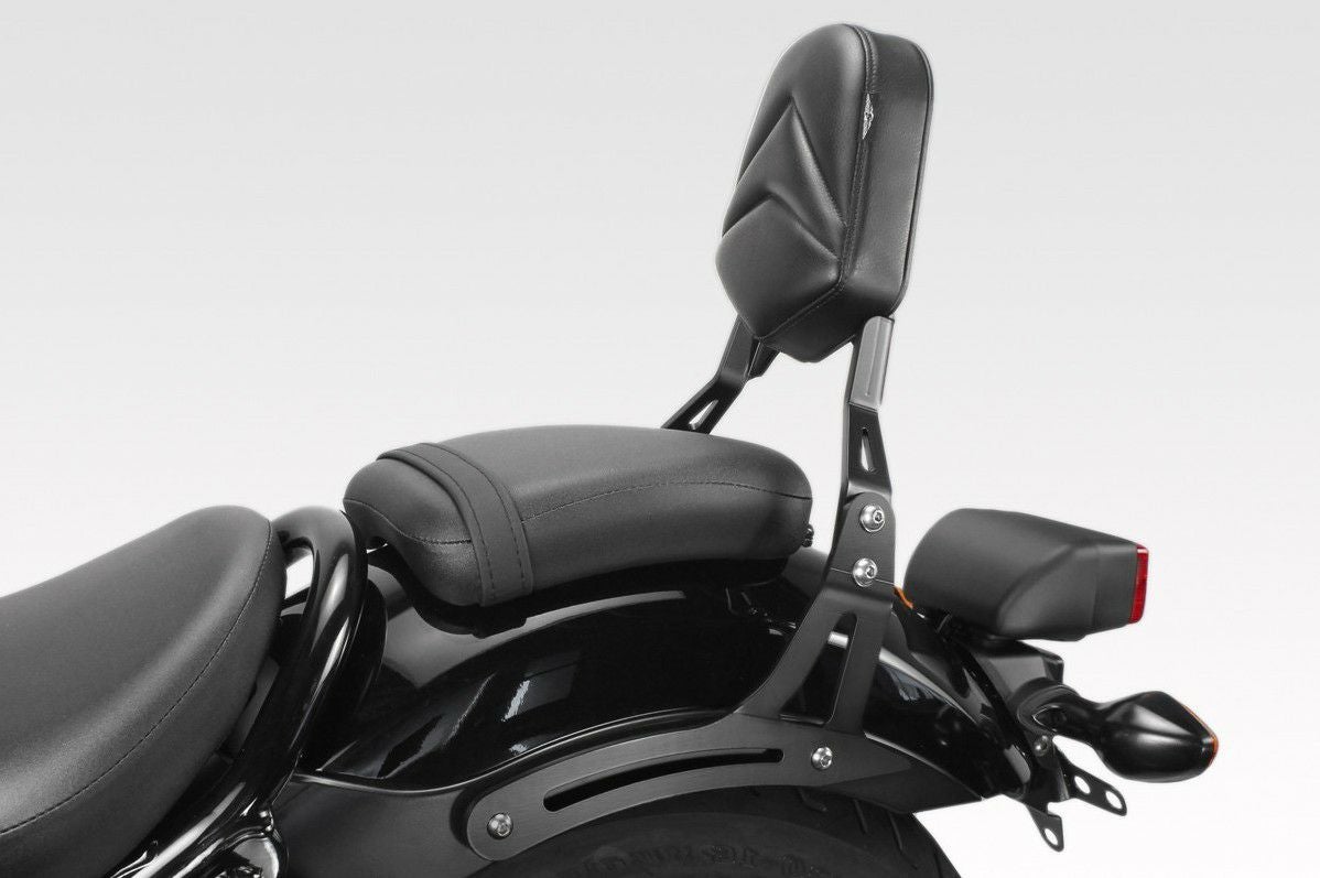 レブル250/500 シーシーバー バックレスト ブラック DPM | バイク
