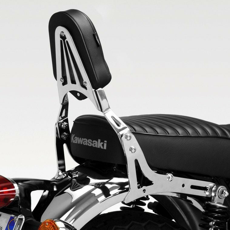 W650/W800 シーシーバー バックレスト クローム DPM | バイクカスタム