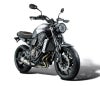 ヤマハ XSR700 16～ ヘッドライトガード エヴォテックパフォーマンス_3