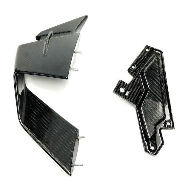 BMW S1000RR M1000RR 19-22 カーボンウイングレット FSJ (フィード