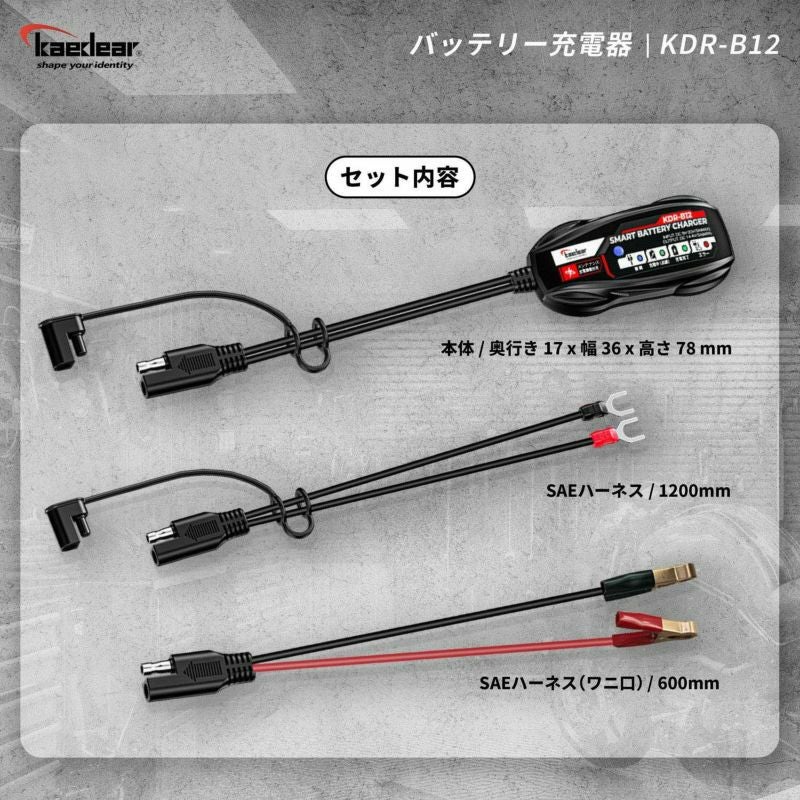 コンセント不要】USB入力対応スマートバッテリーチャージャー