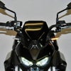 Z900 24- LEDフロントウィンカー New Rage Cycles_1