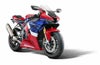 Honda CBR1000RR-R (20-) ラジエーターガード/オイルクーラーガードセット Evotech Performance_5
