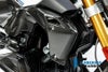 ILMBERGER ウォータークーラーカバー (右側) BMW R1250R (19-)_1