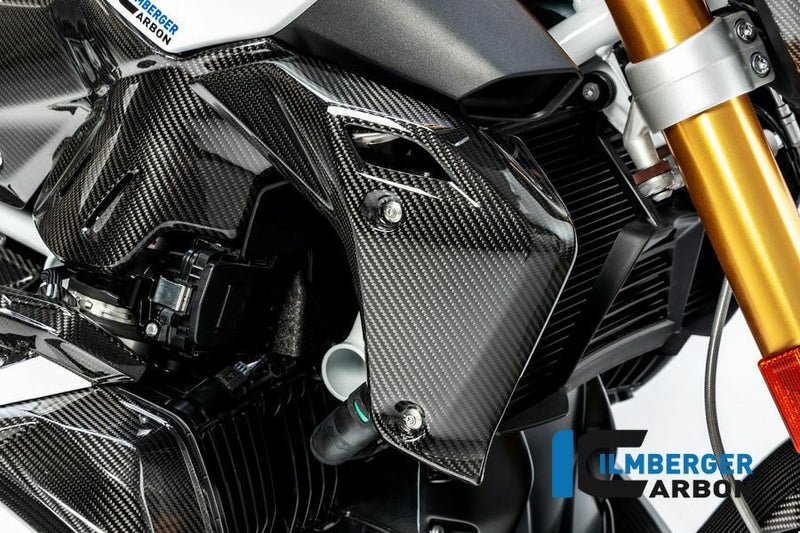 ILMBERGER ウォータークーラーカバー (右側) BMW R1250R (19-)_1