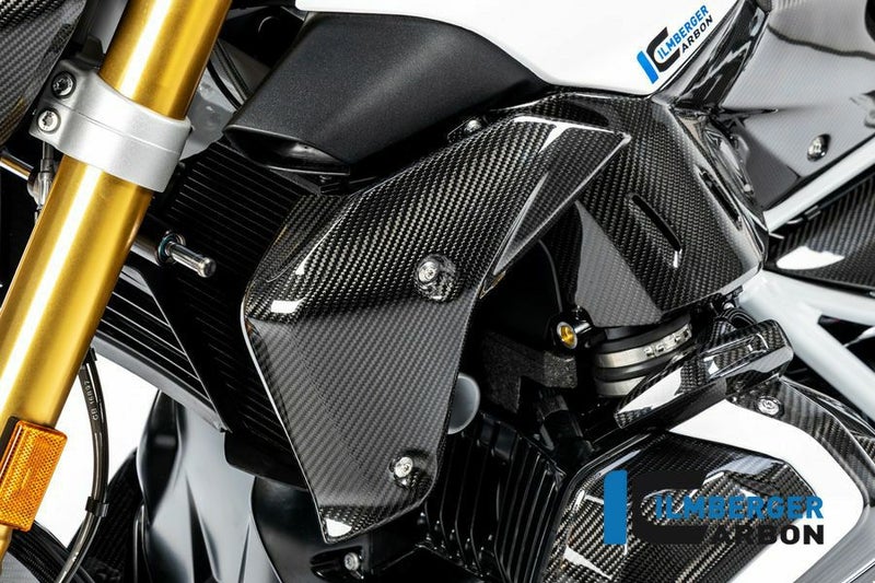 ILMBERGER ウォータークーラーカバー (左側) BMW R1250R (19-)_1