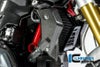 ILMBERGER ウォータークーラーカバー(ラジエターコアカバー) 右 BMW R1200R LC (15-)_4