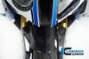 ILMBERGER エアーインテーク (アッパーカウル中央部分) BMW S1000RR (09-14)公道走行仕様車 / HP4(12-)_3