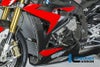 ILMBERGER サイドカウル(左) BMW S1000R (14-16)_1