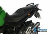 ILMBERGER サイドカバー BMW R1200R (07-14)_3