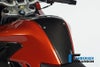 ILMBERGER タンクセンターパネル BMW F800R (09-14) / F800S (06-09) / F800ST (06-09) / F800GT (12-)_6