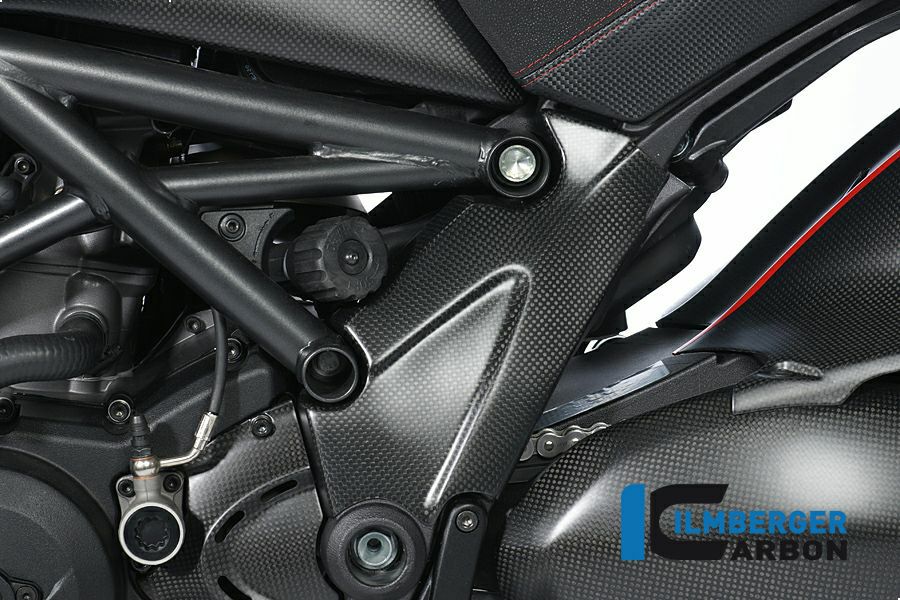 ILMBERGER リアフェンダー DUCATI DIAVEL 1200