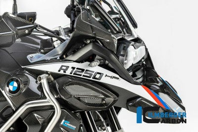 ILMBERGER ヘッドライトカバー BMW R1250R