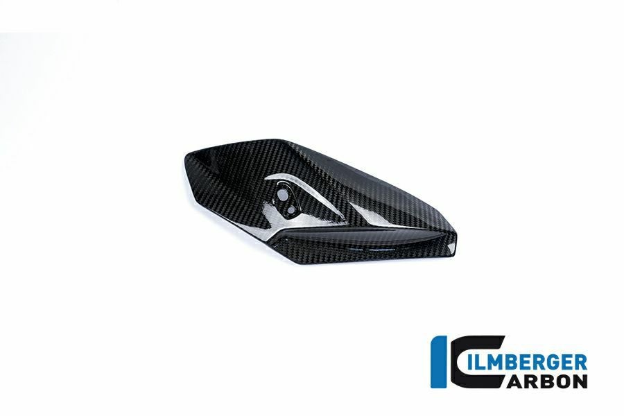 ILMBERGER フロントフェアリング サイドパネル (右側) BMW S1000R