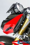 ILMBERGER フロントフェアリング サイドパネル(左) BMW S1000R (14-20)_4