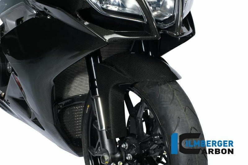 ILMBERGER フロントフェンダー APRILIA RSV 4 (2009-) / TUONO V4 (2011-)_1