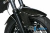 ILMBERGER フロントフェンダー BMW F800R (09-14) / F800GT (12-)_2