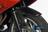 ILMBERGER フロントフェンダー BMW F800R (09-14) / F800GT (12-)_6