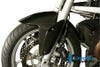 ILMBERGER フロントフェンダー BMW R1200R (07-14)_2