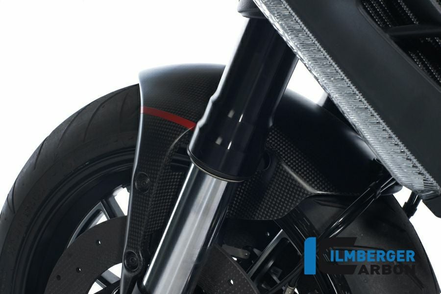 ILMBERGER リアフェンダー DUCATI DIAVEL 1200