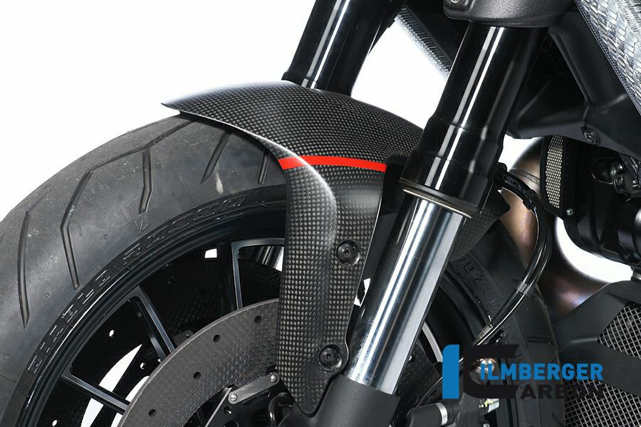 ILMBERGER フロントフェンダー DUCATI DIAVEL 1200
