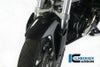 ILMBERGER フロントフェンダーウィンドフラップス BMW R1200R (11-14)_1