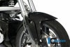 ILMBERGER フロントフェンダーウィンドフラップス BMW R1200R (11-14)_2