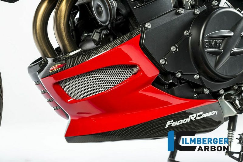 ILMBERGER ベリーパン(アンダーガード) BMW F800R (15-)_1