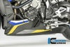 ILMBERGER ベリーパン(アンダーガード) BMW S1000R (17-20)_2