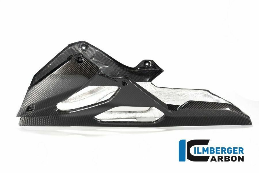 ILMBERGER ベリーパン BMW S1000R / M1000R | VEU.011.S121N.K