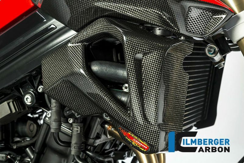 ILMBERGER ラジエーターカバー (右側) BMW F800R (15-)_1