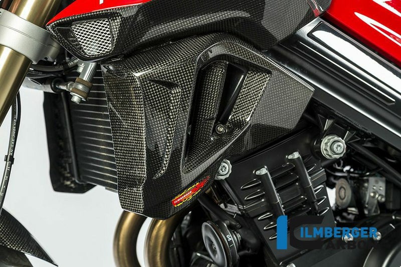 ILMBERGER ラジエーターカバー (左側) BMW F800R (15-)_1