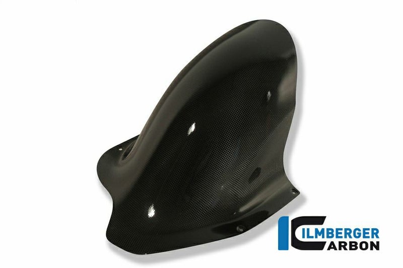 ILMBERGER リアフェンダー DUCATI DESMOSEDICI_1