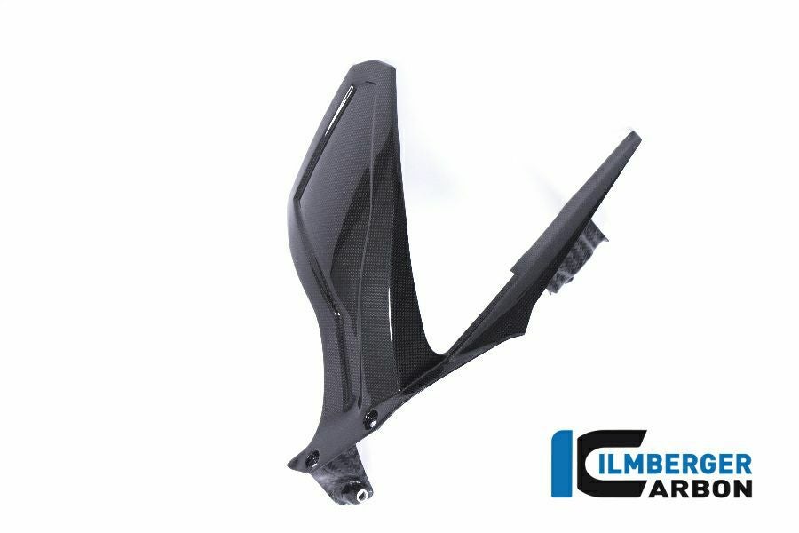ILMBERGER リアフェンダー DUCATI 公道仕様車 Panigale V4/S / V4R