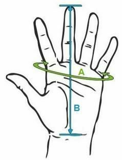 Held(ヘルド) レーシンググローブ Phantom Pro Sports ブラック/ホワイト_3