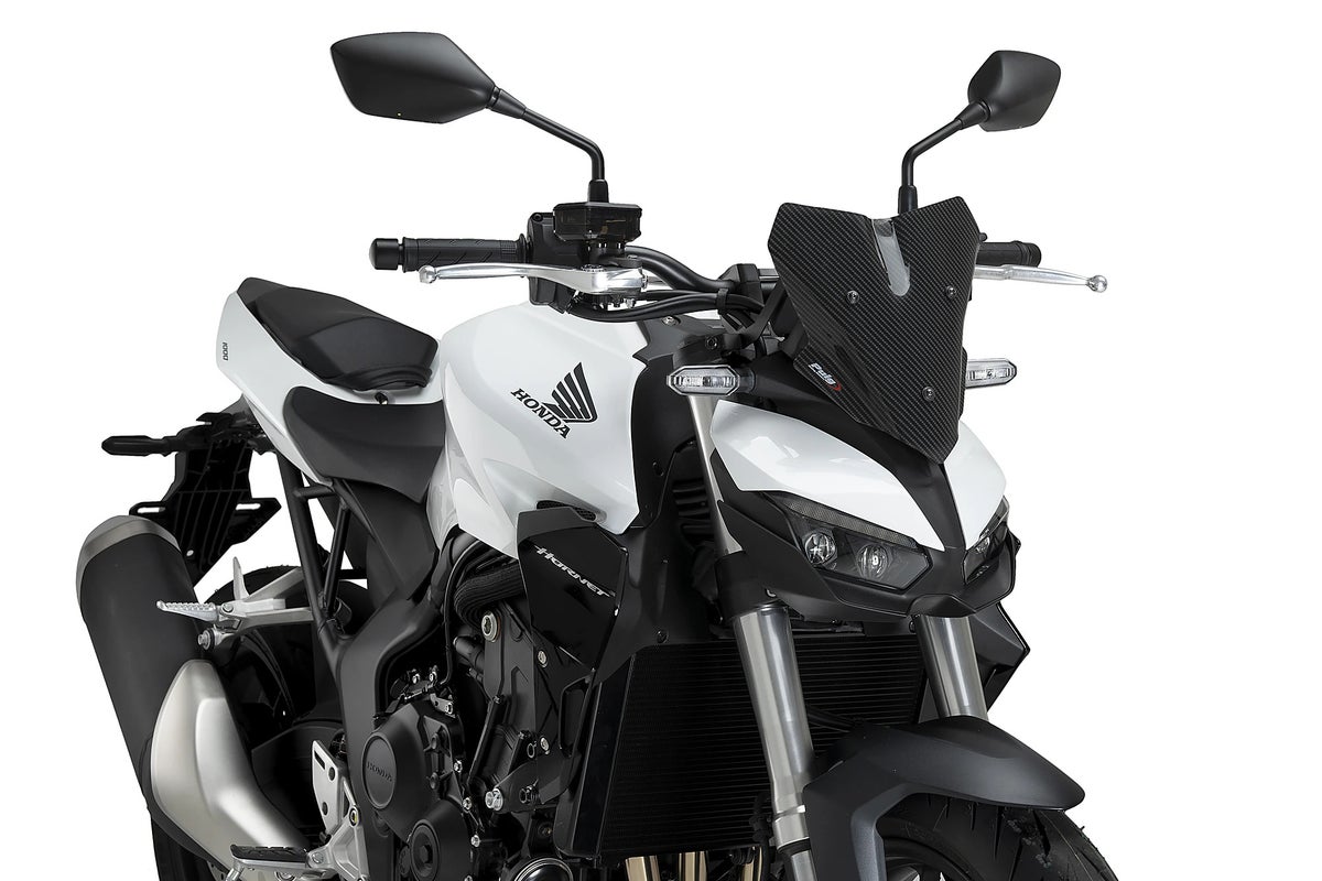 CB1000 ホーネット 25- スクリーン カーボンルック "New Generation Sport" プーチ_2