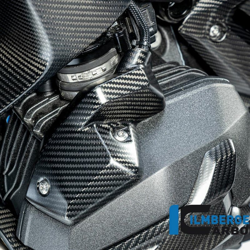 BMW R1300GS/R1300R/R1300RS インジェクターカバー 左側 カーボン マット仕上げ ILMBERGER_1