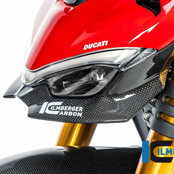 DUCATI パニガーレV4/V4S/V4R／ストリートファイターV4 25- カーボン
